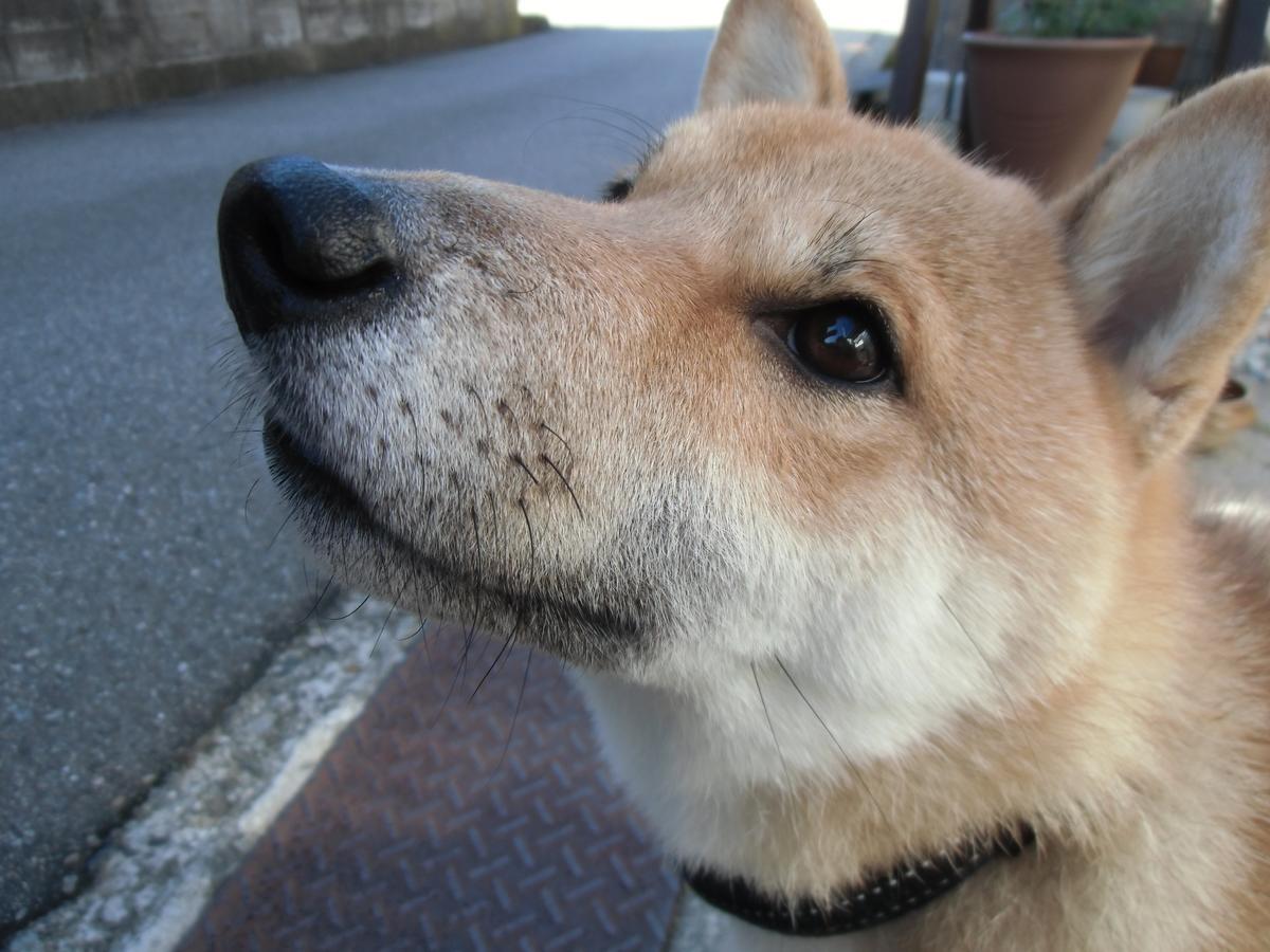 Kanazawa Share House Gaooo Bagian luar foto