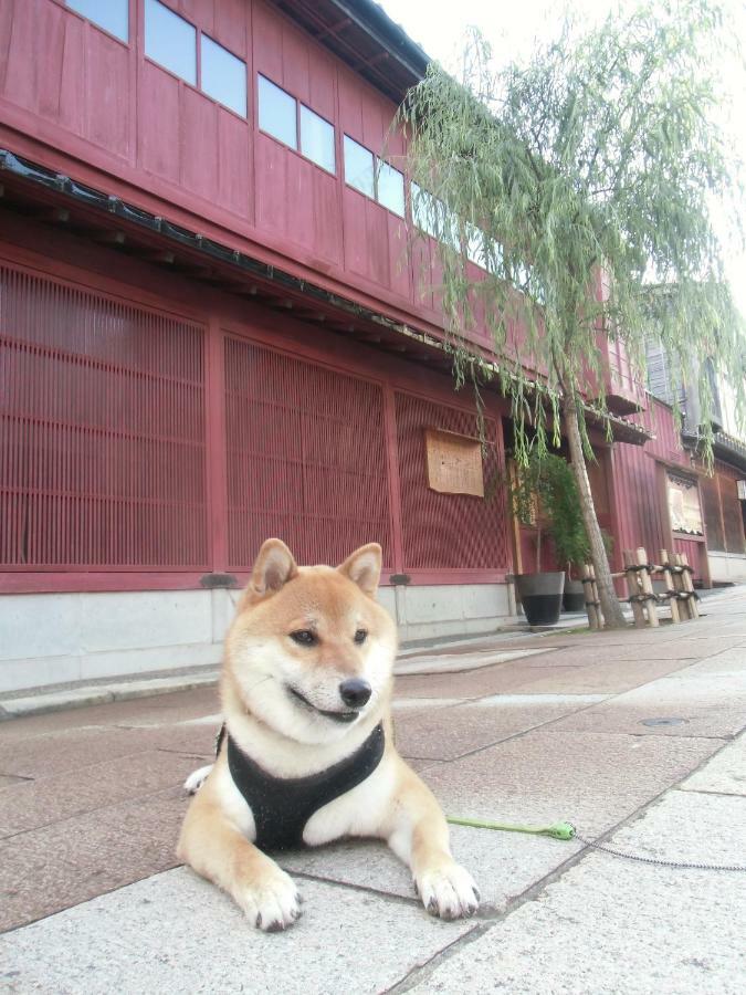 Kanazawa Share House Gaooo Bagian luar foto